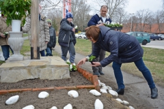 keresztszepites_201803_010