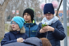 keresztszepites_201803_015