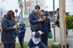 keresztszepites_201803_017
