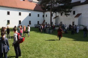 IMG 4101
