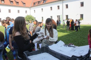 IMG 4107