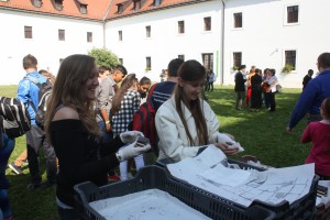 IMG 4108