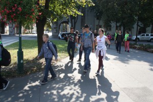 IMG 4146