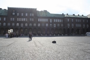 IMG 4152