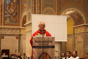IMG 4223