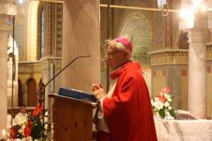 IMG 4224