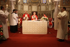 IMG 4225