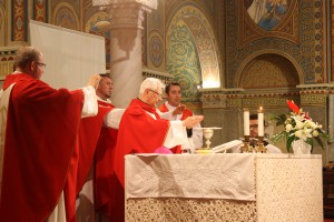 IMG 4234