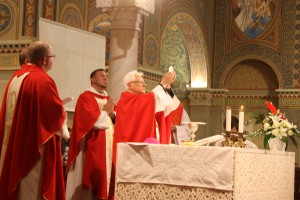 IMG 4235