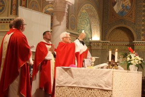 IMG 4237