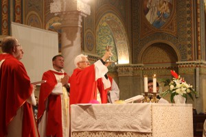IMG 4239