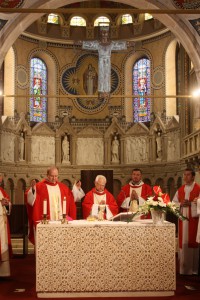 IMG 4245