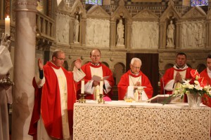 IMG 4247