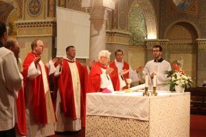 IMG 4250