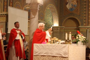 IMG 4251