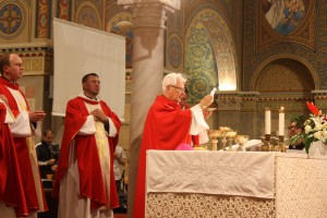 IMG 4252