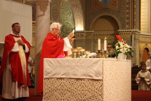 IMG 4253